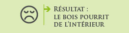 Résultat : le bois pourri de l'intérieur